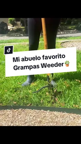 Mi abuelo favorito el Grampas Weeder🪴  #grampasweeder #gardentok #gardenhacks #tiktokshop #creatorsearchinsights  @sk8bord b 