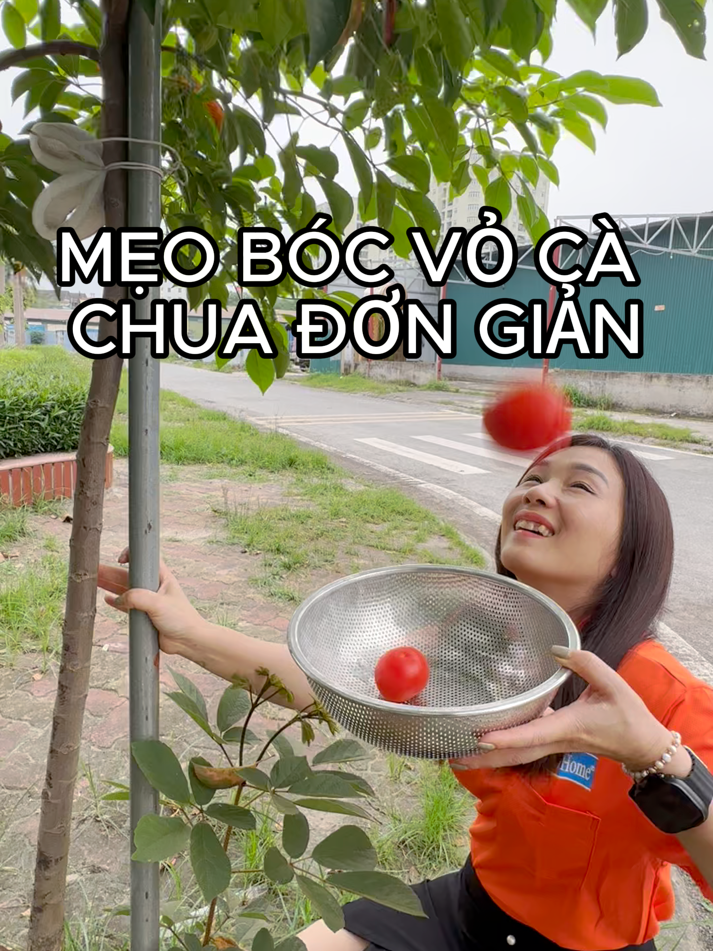 3 bước đơn giản để bóc vỏ cà chua #viral #meovat #megahome