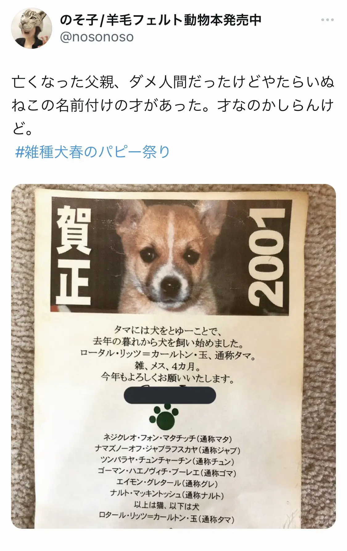 #名前付け #雑種犬 #メス #4ヶ月