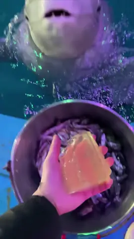 Feeding time!