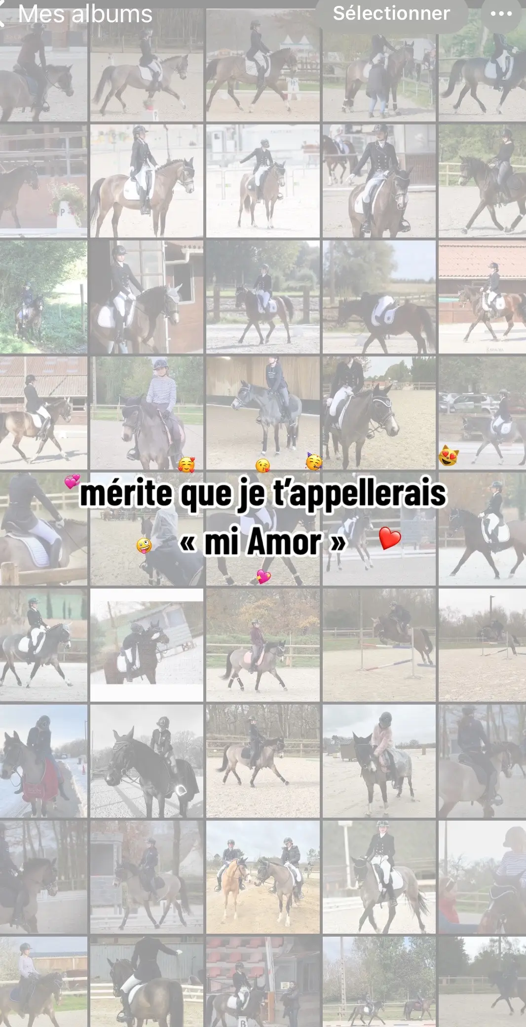 #fyp #pourtoi #reel #equestrianlife 