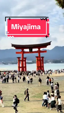 📍Itsukushima Shrine (Floating Torii Gate) satu jam dari Hiroshima. Hiroshima itu 2 jam shinkansen dari Osaka. Kalau punya JR pass, udah include semuanya.