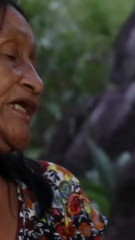 Maria Elisa, liderança Rikbaktsa, fala sobre a preocupação da etnia em preservar a cultura. Meu trabalho documentando histórias e registrando a cultura Rikbaktsa vai muito além da difusão, sendo ferramenta para a criação da memória documental deste povo que é tão rico em cultura, histórias e tradições. Essa cena é um corte do meu filme 