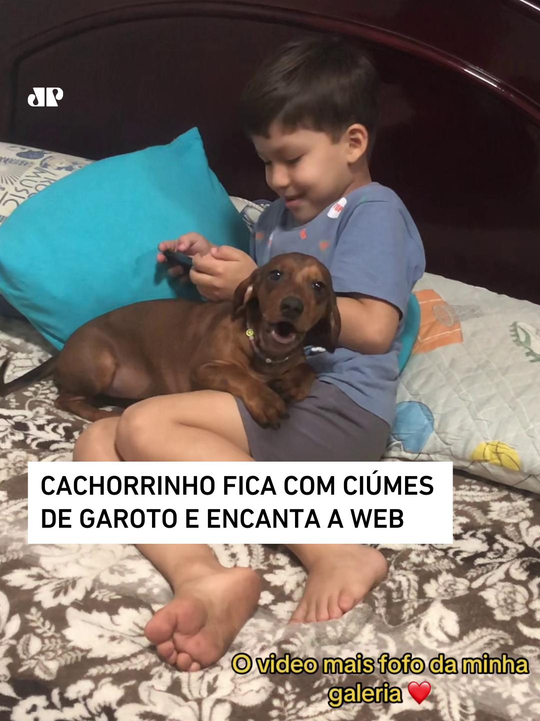 Um cachorrinho ciumento chamou atenção da web e viralizou. A salsicha Cacau conquistou fãs ao aparecer 'protegendo' o tutor Enrico, um garotinho, da própria mãe. O registro foi feito pela designer de unhas, Glenda Ambrósio, que brincou e chamou Cacau de 