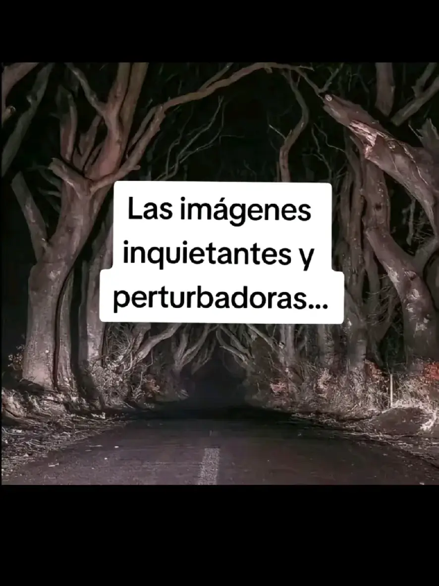 #fyp #aterrador #datoscuriosos #datosaterradores #miedo #terror #terrorifico #perturbador #terrorifico #misterio #fyp #viral 