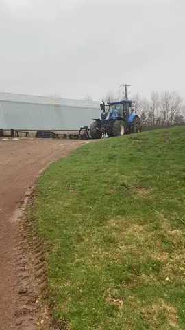 It’s not his first day on the job! #the_beef_boys #farmlife #farm #farming #dairyfarm #newholland #tractor #cow #drinkmilk #fyp #fypシ゚viral #youthinagriculture #happy #cute #raisedonafarm #supportfarmers #learning #hardworkers #novascotia #canada 