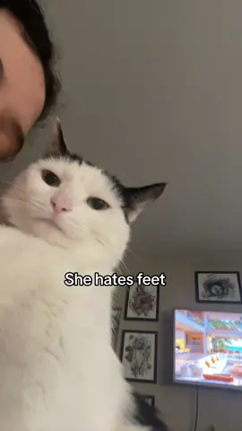 She will bite all of them  #Feet #Cat #Funny #girl #FIP #Lion 