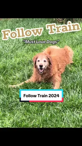 Lets all get to 10k followers on TikTok. Follow me, like this video, and comment “must love dogs”. Follow everyone that likes your comment. #followback #followtrain #followtrain2024 #followtrainchallenge #10k #roadto10k #10kfollowers #challenges_tiktok #mustlovedogs #wetdog #followandlike #following 