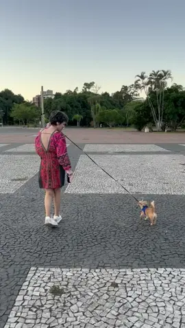 #ChihuahuaDançante, #PasseioPet, #ChihuahuaNaRua, #DançaPet, #ChihuahuaFeliz, #PetsNaRua, #ChihuahuaEstiloso, #DançandoNaRua, #ChihuahuaDivertido, #MomentoPet, #RitmoChihuahua, #PasseioEDança, #AlegriaPet, #ChihuahuaSapeca, #PetsDançarinos, #ChihuahuaEmAção, #PetFeliz, #ChihuahuaAventureiro, #DançaComPets, #DiversãoNaRua, #ChihuahuaAnimado, #PetsEmMovimento, #ChihuahuaAtivo, #DançaAnimal, #ChihuahuaNaModa, #PasseioComEstilo, #ChihuahuaPasseante, #RitmoDeRua, #ChihuahuaCoreógrafo, #VidaDeChihuahua. 