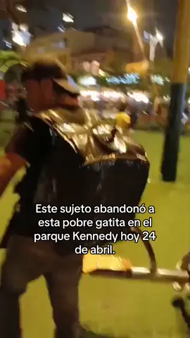 😡😡😡😡 ayudanos a identificarlo! #VoiceEffects #parquekennedy #gatos #abandonoanimal #limaperu 