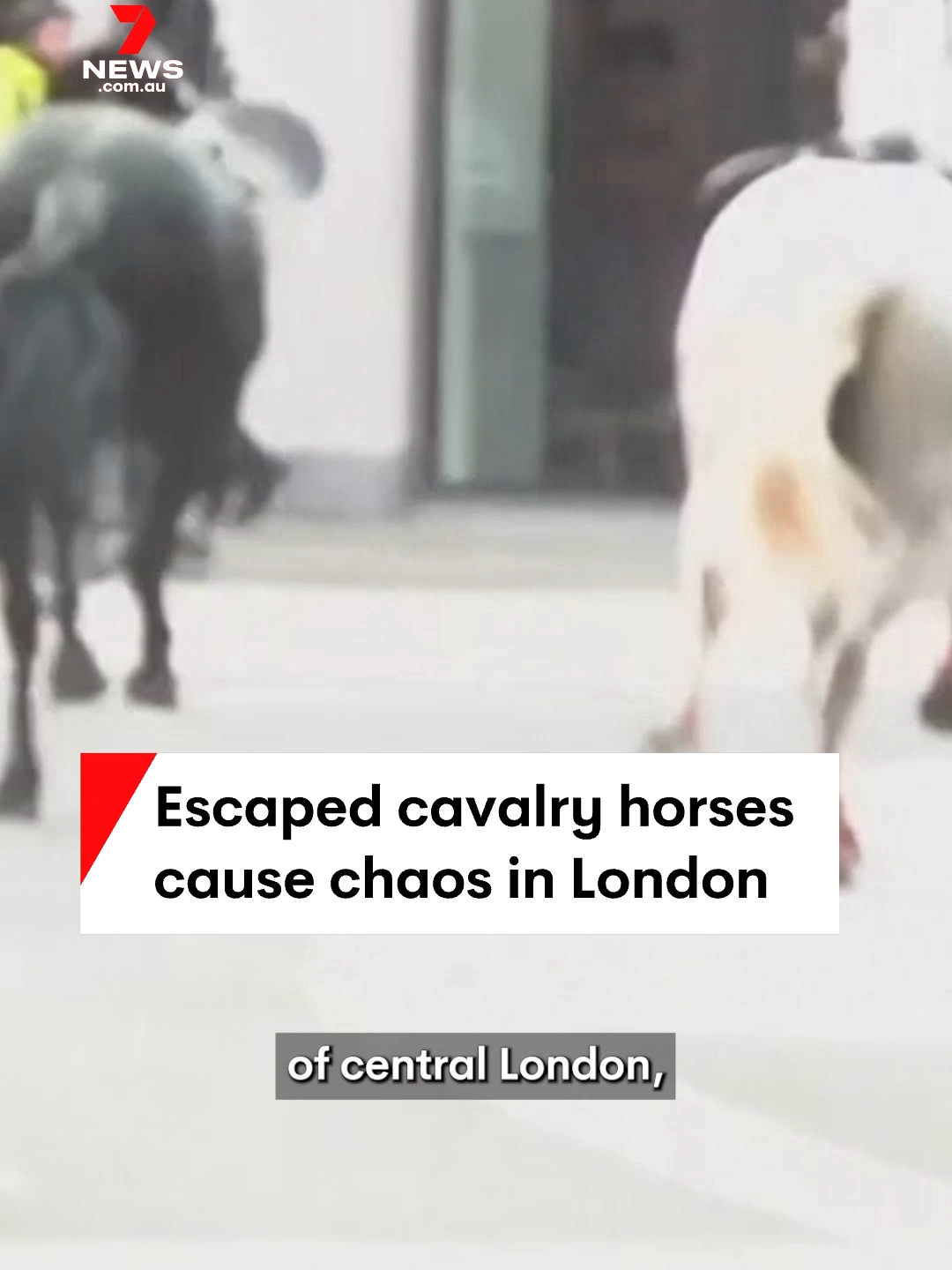 There have been chaotic scenes on the streets of central London as five horses threw their riders, and galloped off from a military rehearsal near Buckingham Palace. #horses #london #cavalry #7NEWS