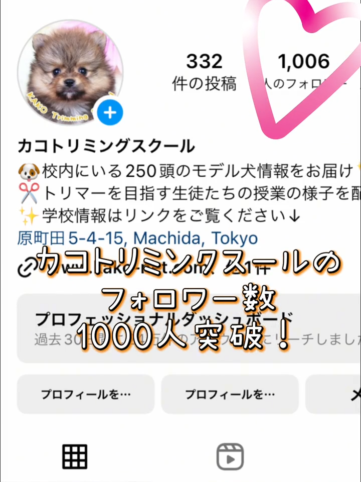 【インスタのフォロワーさん 1000人超えました！】 インスタとTik Tokで カコの毎日を お伝えしています☆ #カコトリミングスクール #トリマー #トリマー科 #トリミング #KAKO #町田 #学校 #カコ #生徒 #モデル犬 #犬 #わんこ #ワンコ #子犬 #こいぬ #ドッグパークルーム #お世話 #インスタ #フォロワー