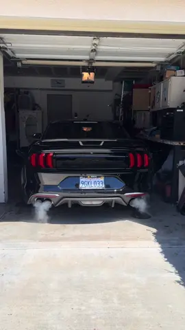 #coldstartchallenge #mustanggt #fyp #v8 #musclecars #borlaexhaust #borlastype 