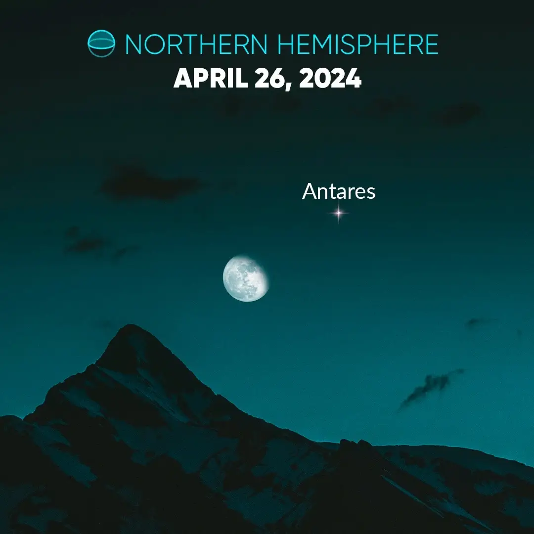 Meet Antares! On April 26, at 10:33 GMT, it'll be super close to the Moon, just 0°24′ away. And you're all invited to watch – no special equipment needed! 👀✨ Named in Greek 