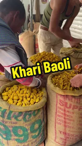My time in Delhi was pretty brief, but I managed to visit this historic market where chefs and cooks from around the world have bought their spices for over 400 years. It felt incredible to follow that tradition and be a small part of something so significant for India’s entire culinary culture. Definitely keep Khari Baoli, Old Delhi in mind for your next visit to Delhi! Also, big thanks to @Oken Silva for helping me shoot this 🙏🏽 #market #spices #india #delhi