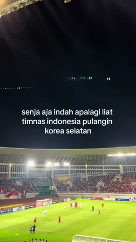 yokk bisaaa🇲🇨🦅 #timnasindonesia #afcasiancup #qatar2024 #quotes #senja 