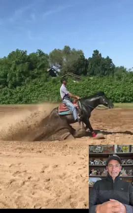 #horse #cavalo #caballo 