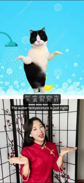 🐈‍⬛ Lets dance with cat today! #cat #china #chinese #chineseteacher #cute #haha #learn #learnchinese 