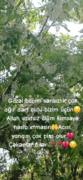 Mələk üzlüm sənli günlərimi çox özləmişəm💔😔🥀🥀Məkanın cənnət olsun🤲🤲🤲#fypage #fypシ #fypシ゚viral #fyupe #fyup 