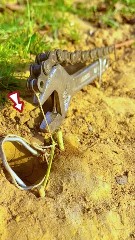 DIY big Snake Trap using Automatic pliers #shortvideo #snake#creativesnaketrap #buildsnaketrap #snaketrap #wildanimals 