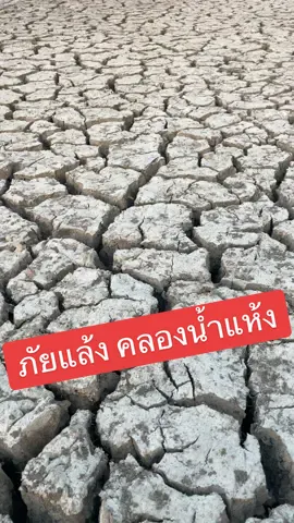 #คลองดี18 #น้ำแห้ง บันทึกภาพเมื่อ24เมษายน67 ##ภัยแล้ง#น้ำแห้ง#น้ําแล้งเพชรบุรี #ข่าวtiktok #ข่าวเพชรบุรี24ชั่วโมง   