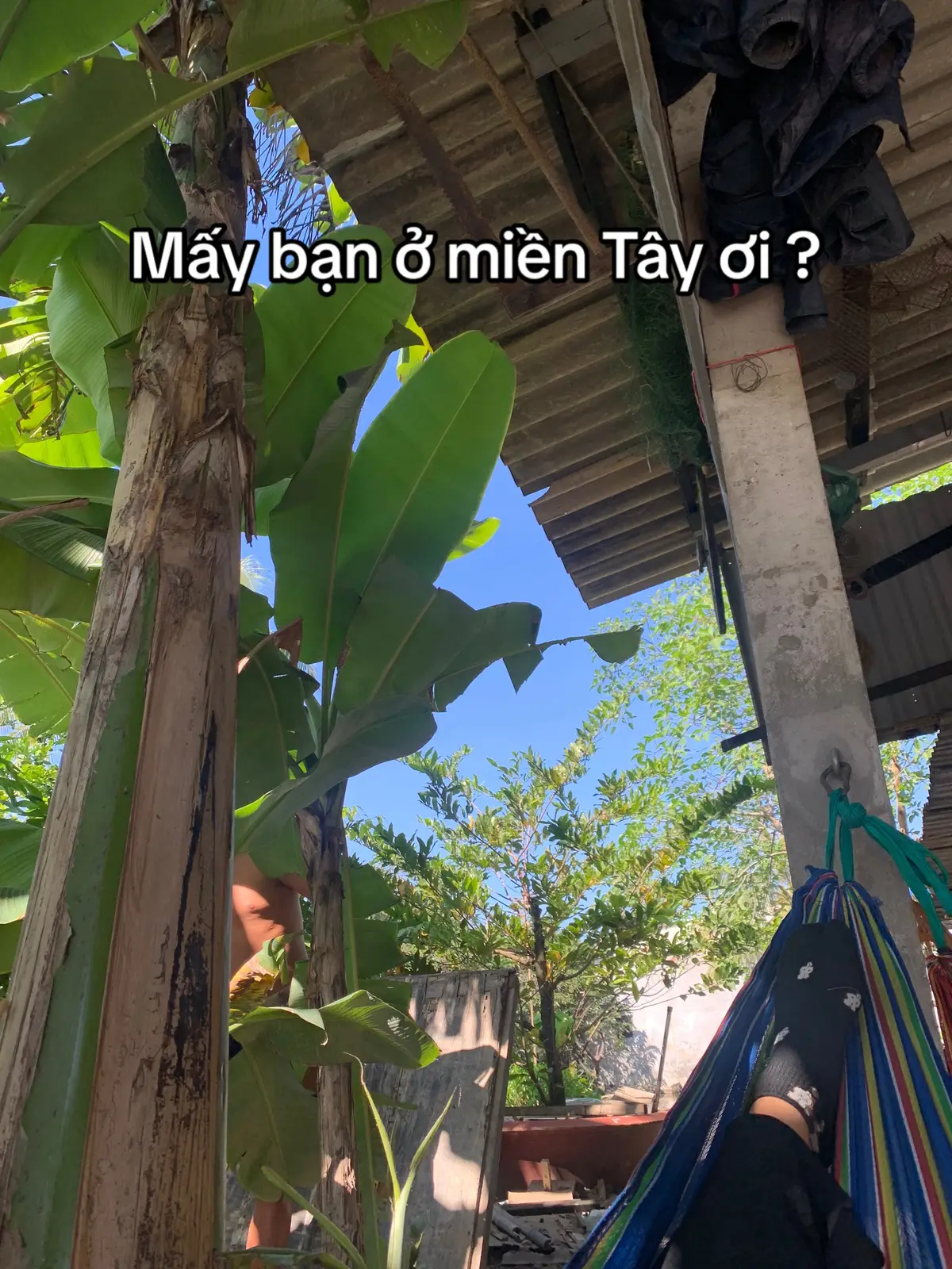 Chúng elm có 3 người  #mientay 