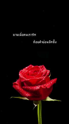[Thai ver.] 風月 / Feng Yue (Romance) - Isabella Huang | TripleU [uw] 🌹 Thai lyrics : Ryarical #FengYue #風月 #Romance #Ryarical #TripleU_uw #TripleU #thaiversion #แปลเพลง #ยามเมื่อคนเรารัก #เพลงจีนแปลไทย #เพลงจีน ยามเมื่อคนเรารักถ้อยคำย่อมลึกซึ้ง