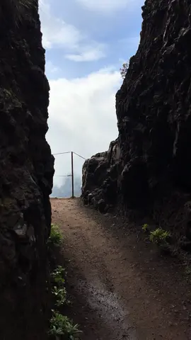 📍PR1 Hike, Madeira, Portugal 🇵🇹  Pause for a moment and envision yourself on a journey along one of the world’s most breathtaking hiking trails. With each twist and turn, you’re greeted by a new masterpiece crafted by nature’s skilled hand. In a world inundated with endless social media posts vying for our attention, it’s easy to get lost in the digital noise. But amidst the scrolling and swiping, we often overlook the beauty and wonder that awaits us beyond the screen. Instead of spending countless hours glued to our devices, let’s heed nature’s call and embark on a journey of true exploration. Let’s trade virtual likes for genuine experiences, and fleeting online validation for lasting memories etched in our hearts. So, step away from the screen, lace up your hiking boots, and venture forth into the world. For it’s in the embrace of nature’s magnificence that we find the truest reflections of ourselves. 🌿✨  #DisconnectToReconnect #NatureIsArt #ᴇxᴘʟᴏʀᴇᴍᴏʀᴇ #adventureawaitsyou #DiscoverEarth #getoutsideandexplore #gooutsideandexplore #TravelPortugal #WanderWisely #VisitMadeira #MadeiraIsland #NatureVibes #RoamThePlanet #goexplorewander #TravelInspired #OffTheGrid 