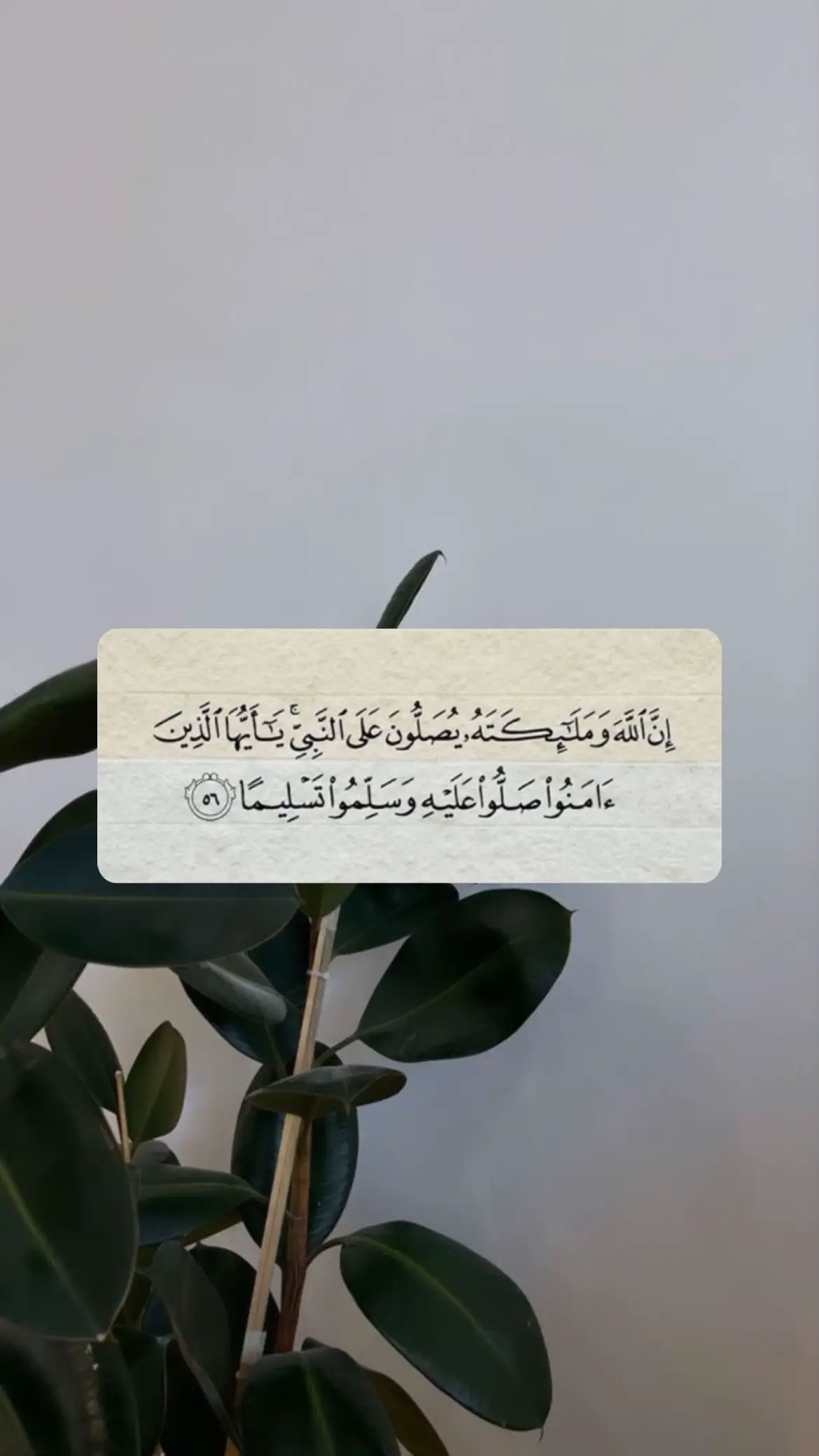 ( الصوره موجوده بدون حقوق في قناتي   بالتلجرام ) رابط القناة في الملف الشخصي ☑️  #ذكر_الله #ادعيه #يوم_الجمعة 