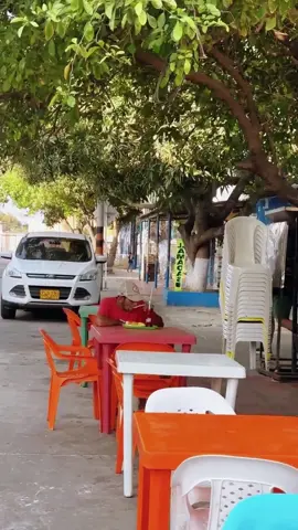 Try not to laugh #fypシ #viral #laugh #funny #foryou #troll #funnymoments #pranks #prank #prankvideo #funnyprank #prankvideos #street #funnyvideos 