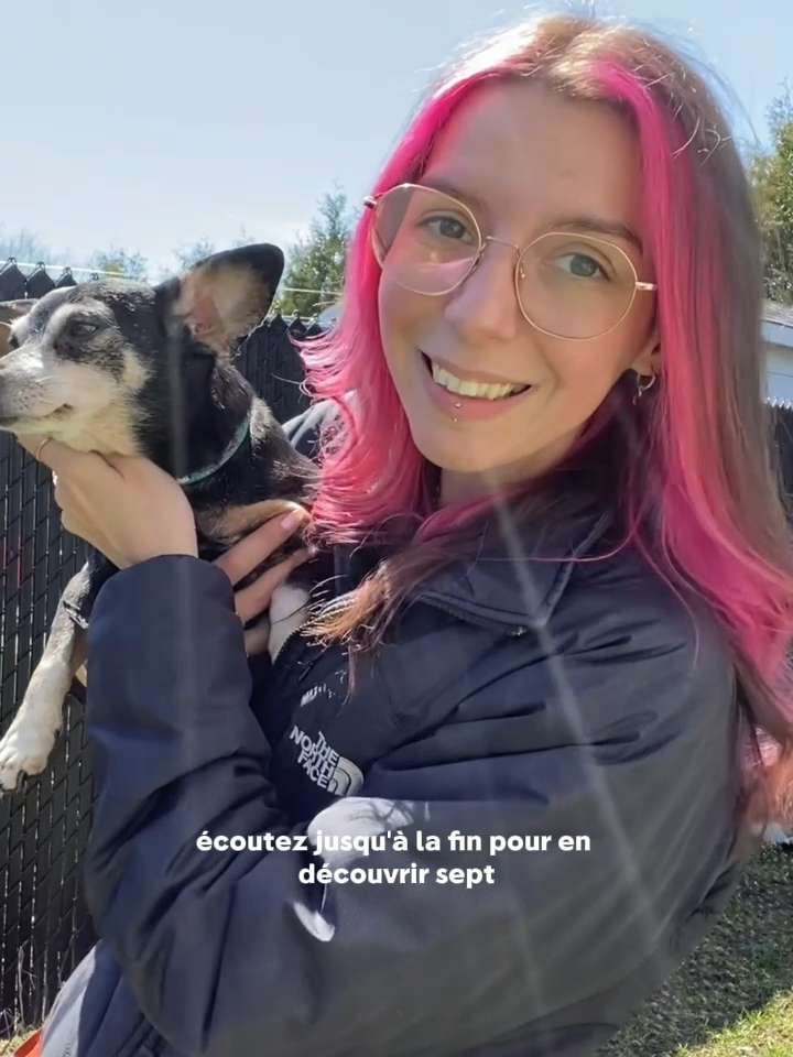 Le beau temps revient peu à peu et avec lui les risques potentiels pour la santé de nos animaux de compagnie 🐾 #animaux #printemps #chiens #chienstiktok #chronique #animal #animaltiktok  #conseils #risques #tiktokquebec #tiktokqc #santéanimale #beautemps #pourtoi #pourtoipage 