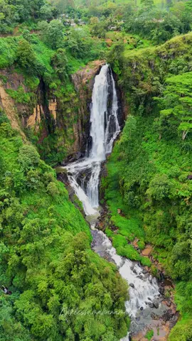 Devon falls 🍃💫♥️ #foryou #ticktock #fyp #video #photography #mist #sky #green #world #fyppppppppppppppppppppppp #travel #waterfall #waterfalls #srilankawaterfalls #waterfallssrilanka #devonwaterfall #nuwaraeliya #stclair #srilanka #srilanka #srilankan_tik_tok🇱🇰 #srilanka🇱🇰 #travelsrilanka #dji #dronevideo #drone #droneshot #photography #viral #travel_with_nikii_💫 