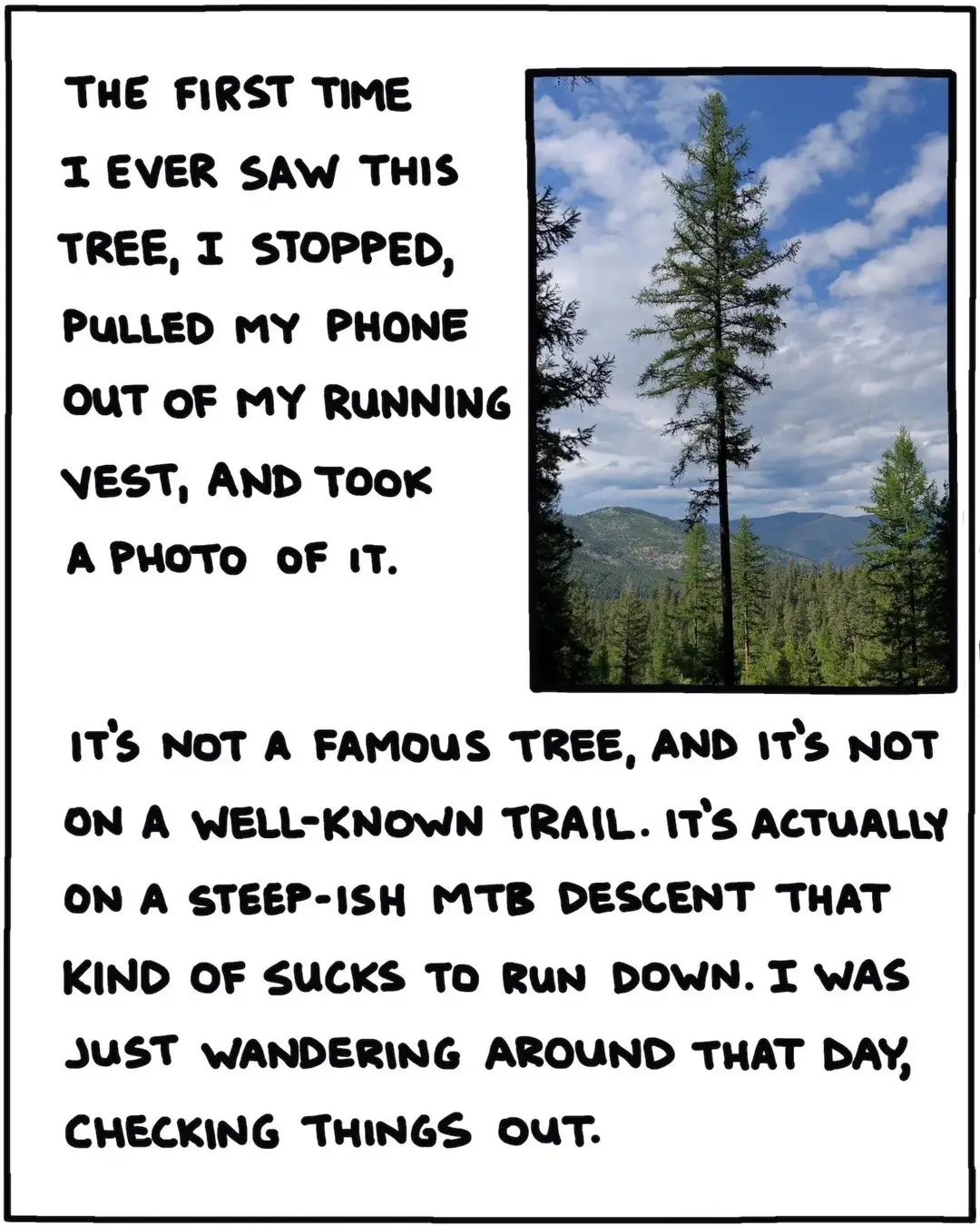 Do you have a favorite tree? 🌳 If not, go ahead, pick one: to check in on, root for, and admire. Here's Outside writer and illustrator, Brendan Leonard’s, favorite tree and a little bit about it! #semirad #arborday #favoritetree #getoutside