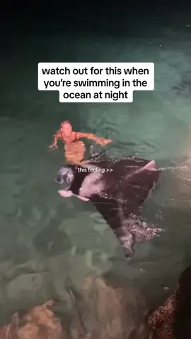night swimming >> #ocean #nightswimming #mantaray #fyp 