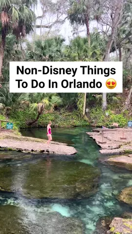 Non-Disney things to do in Orlando!! Of course I love Disney too, but if you are looking for cool day trips around Orlando, here are some of my favorites! #orlandoflorida #orlandofl #thingstodo #travellife #travelbucketlist #floridasprings #floridatravel #travellife #rockspringsrun #wekiwasprings #floridatrip #floridavacation 