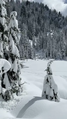 Adventures in the snow #snow #washington #nature #pnw #Hiking #beauty #adventures #mountains #wanderlust 