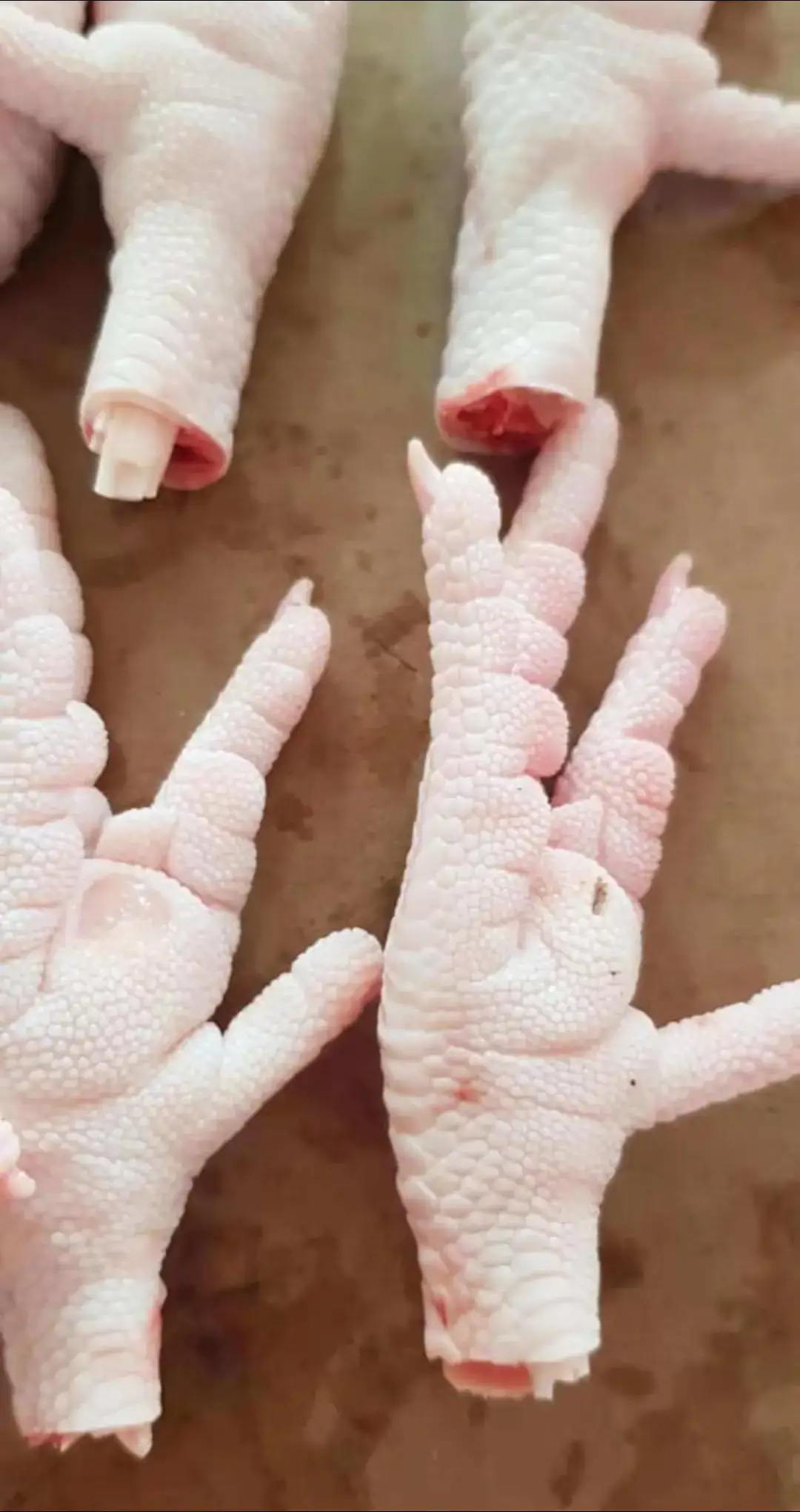 أرجل دجاج للتصدير والتسليم FOB خالص الجمارك Chicken paws for FOB متاح التعاقد على كميات شهرية 