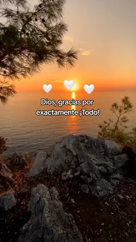 Gracias señor por todo❤️ #musicacristianatiktok #videocristiano #fe #Diosesbueno #fe 