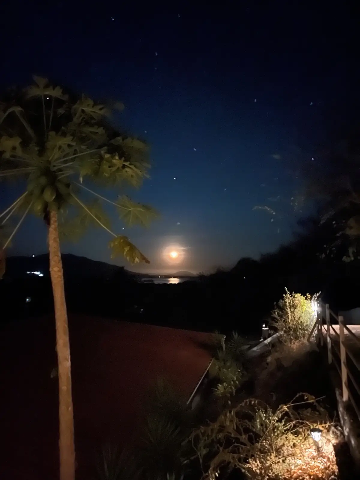 A massive costa rica photo dump from being perfectly nestled under the bright stars, full moon, and mountain silhouettes- to the streets full of vibrancy (and some wildlifr bc 😭😭🥹🥹) #costarica #photodump 