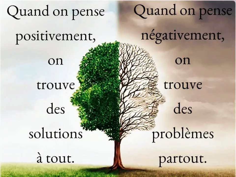 #penséepositive #paroles_en_or #leconeevie #motivation #bonheur #heureux #positivity #viral #pourtoi #foryoupage #explore #CapCut #fypシ #joie #joiedevivre 