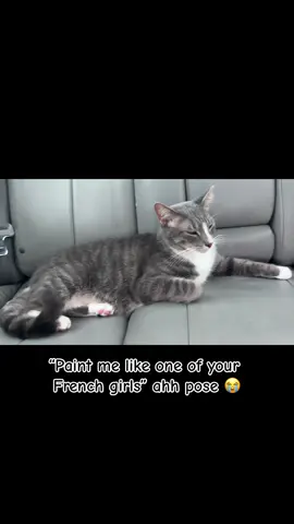 Took him to chickfila and now he acting different 🙄 #fyp #catsoftiktok #garytheecat #sillycat 