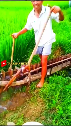 Pengairan sawah yang unik dan sederhana #fyp #trending #viral #reels #shorts #fruit #berkebun #gardening #agriculture #buahbuahan #fruits #farming #fypシ 