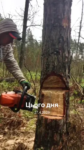 #цьогодня 