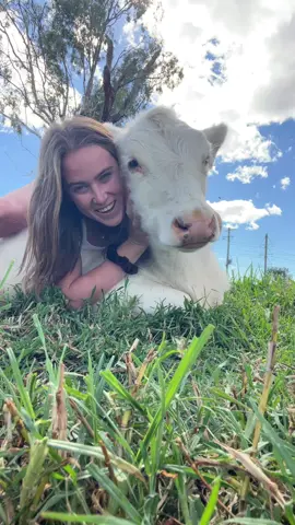 🤪 #farm #calves #dairy #moo #fyp #fy #foryou #calve #australia #farmgirl #cowgirl #cow #pretty #aussie #friends #Love 