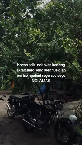 nyacat sikat🤣#glgank🚀 #glkotak #glherex #herexnganjuk #nganjuk #herex1200m #glgank🤙🥵 #fypp #glplonto #fypplis #fypシ #viral #glgank #epyepe #nganjukkotaangin #herexjatim #fyp 