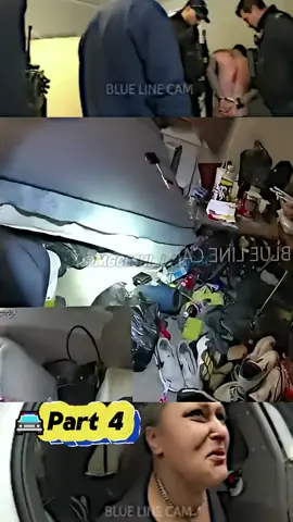 #fyp #copstvshow #police #foryou #viralvideo #copsoftiktok 