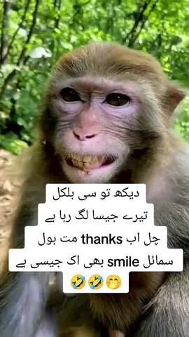 funny 🤣🤣🤭 #foryoupage  #unfreezmyaccount #fypppppppppppp 