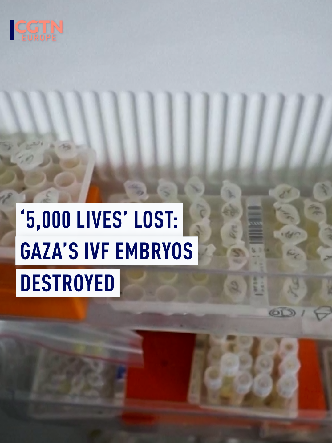 Gaza's largest fertility clinic was hit by an Israeli strike – destroying more than 4,000 embryos, along with 1,000 sperm specimens and unfertilized eggs. These embryos were the last hope for hundreds of Palestinian couples facing infertility. #IVF#IDF#Israel  #Palestine