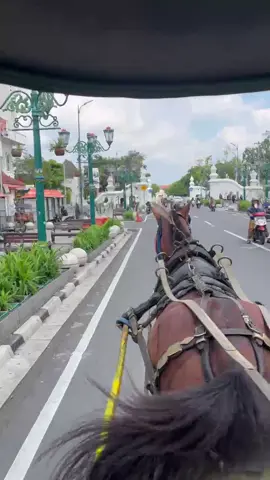 Numpak Dokar #yogyakarta #delman #Kereta Kuda Keraton Jogja #malioboro #fyp #foryourpage 