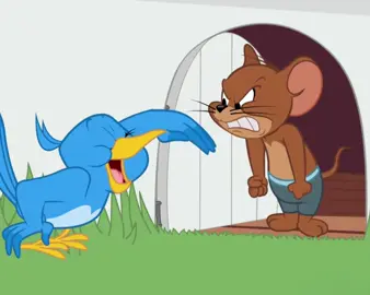 Tom and Jerry #tomandjerry #foryou #cartoon #boomeranguk #fyp #oldcartoon #animation 